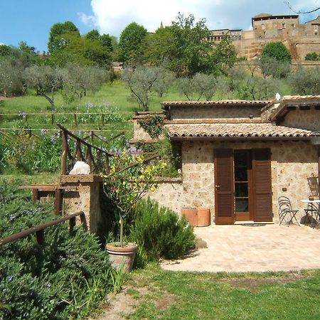 B&B Casaselita Orvieto Kültér fotó